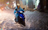 [ẢNH] Những kỹ năng lái xe an toàn khi trời mưa, ngập úng